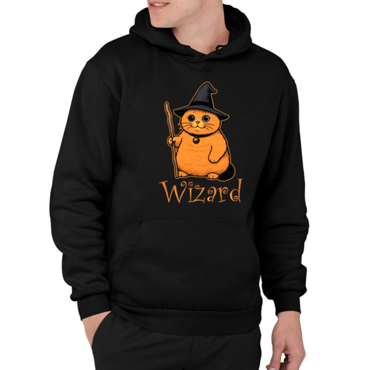 Wizard - kočičí čaroděj - pánská mikina s potiskem