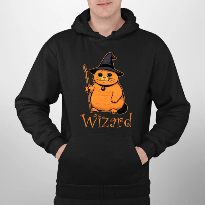Wizard - kočičí čaroděj - pánská mikina s potiskem