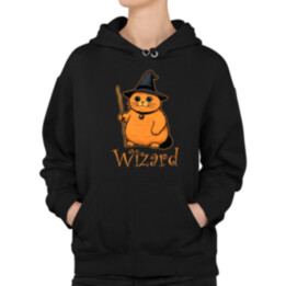 Wizard - kočičí čaroděj - dámská mikina s potiskem