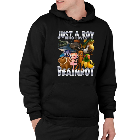 Just a boy who loves brainrot - pánská mikina s potiskem