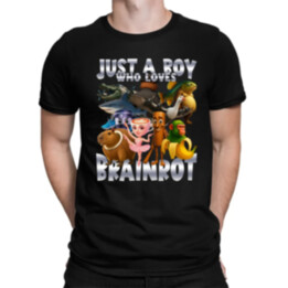 Just a boy who loves brainrot - pánské tričko s potiskem
