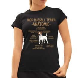 Jack Russell teriér – anatomie  - dámské tričko s potiskem