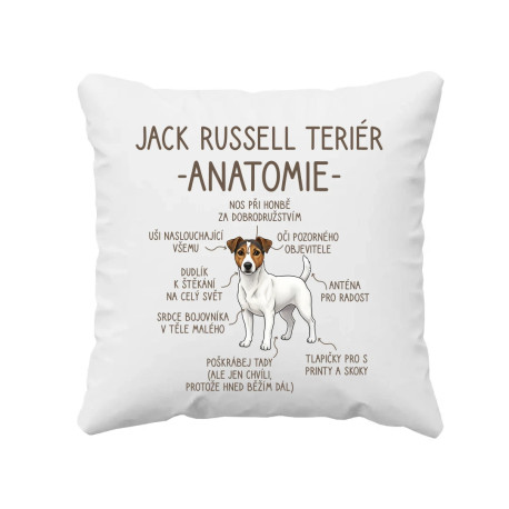 Jack Russell teriér – anatomie - polštář s potiskem