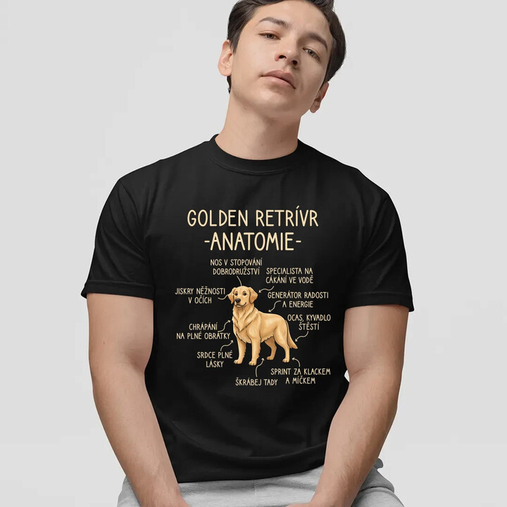 Golden retrívr - anatomie - pánské tričko s potiskem