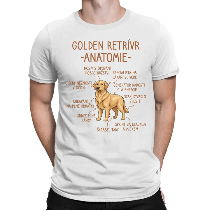 Golden retrívr - anatomie - pánské tričko s potiskem