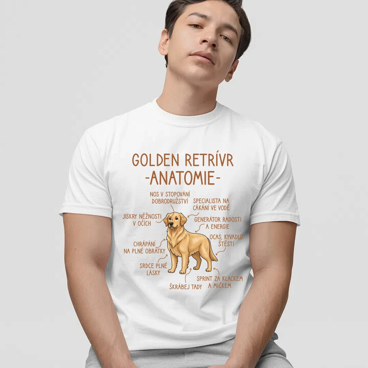 Golden retrívr - anatomie - pánské tričko s potiskem