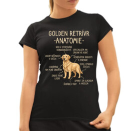 Golden retrívr – anatomie  - dámské tričko s potiskem