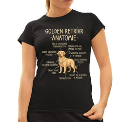 Golden retrívr - anatomie  - dámské tričko s potiskem