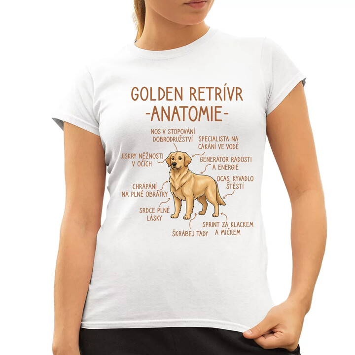 Golden retrívr - anatomie  - dámské tričko s potiskem