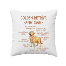 Golden retrívr – anatomie - polštář s potiskem