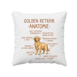 Golden retrívr - anatomie - polštář s potiskem