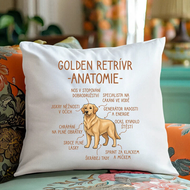 Golden retrívr - anatomie - polštář s potiskem