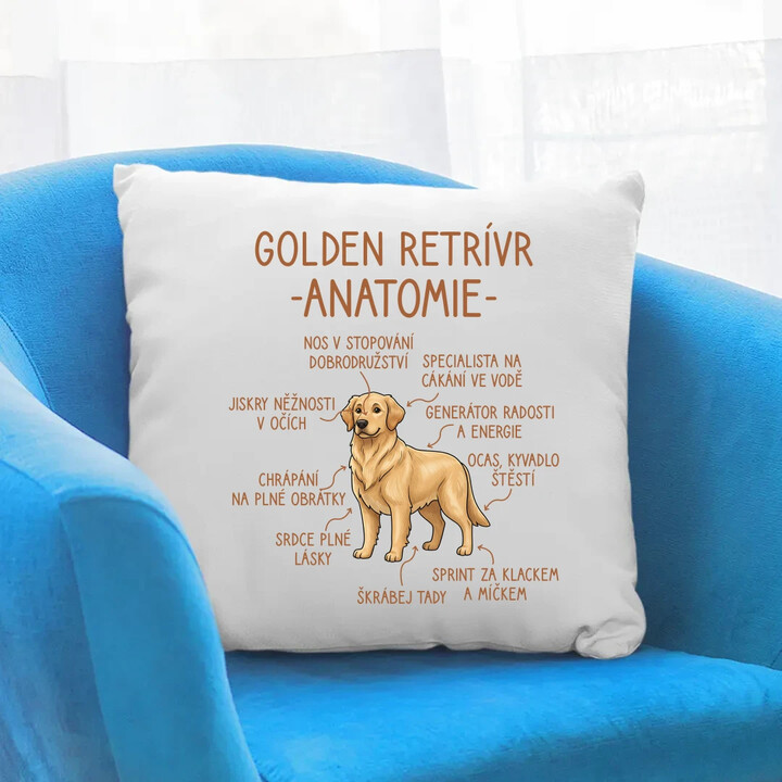 Golden retrívr - anatomie - polštář s potiskem