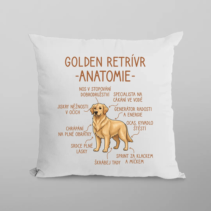 Golden retrívr - anatomie - polštář s potiskem