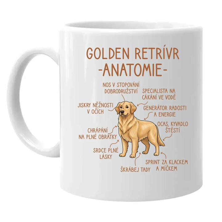 Golden retrívr - anatomie - hrnek s potiskem