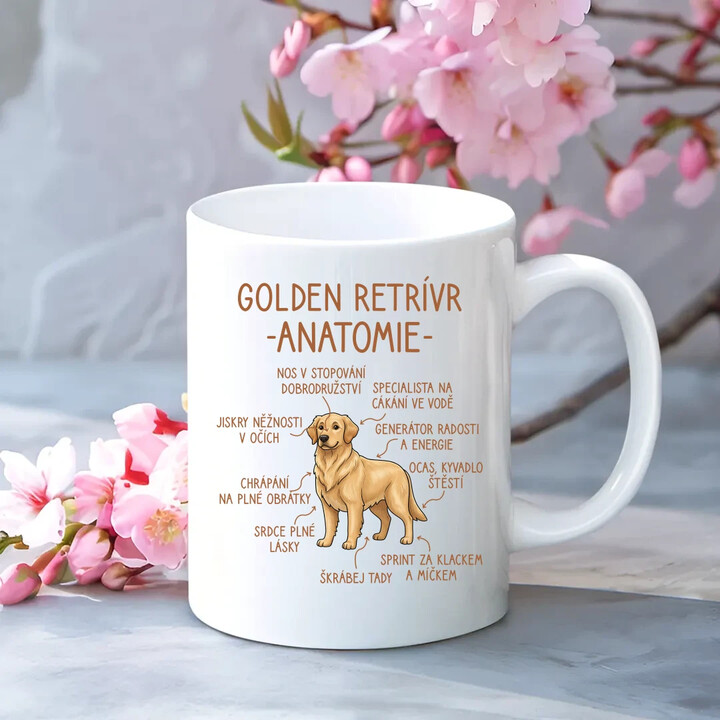 Golden retrívr - anatomie - hrnek s potiskem