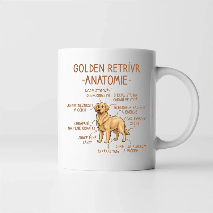 Golden retrívr - anatomie - hrnek s potiskem