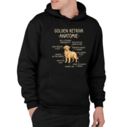 Golden retrívr – anatomie - pánská mikina s potiskem