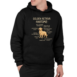 Golden retrívr - anatomie - pánská mikina s potiskem