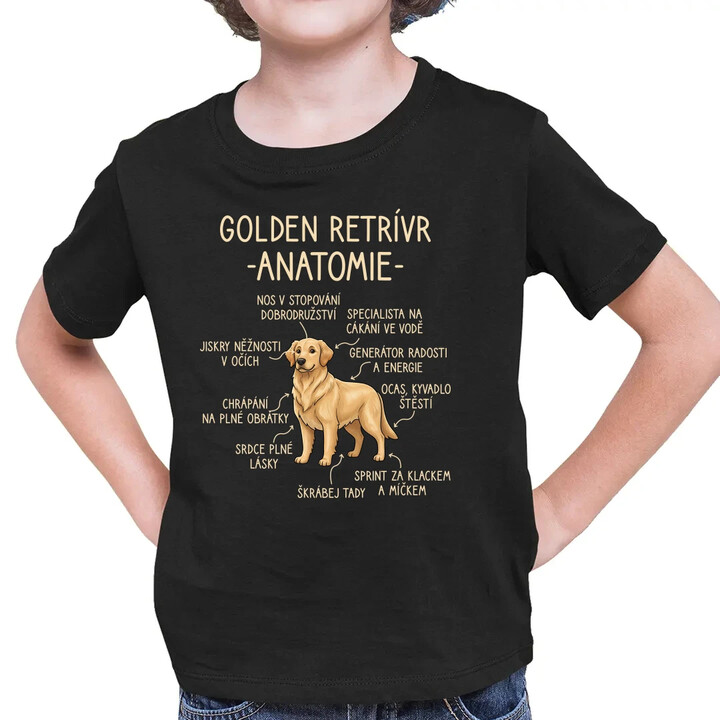 Golden retrívr - anatomie - dětské tričko s potiskem