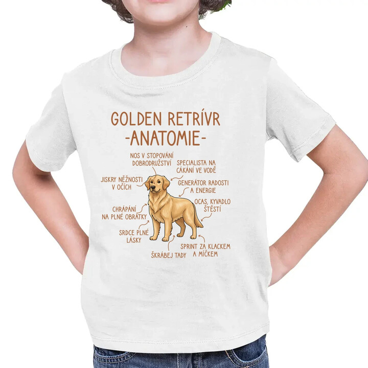 Golden retrívr - anatomie - dětské tričko s potiskem
