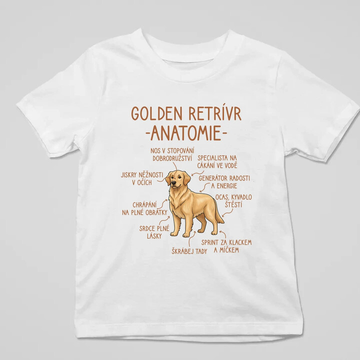 Golden retrívr - anatomie - dětské tričko s potiskem