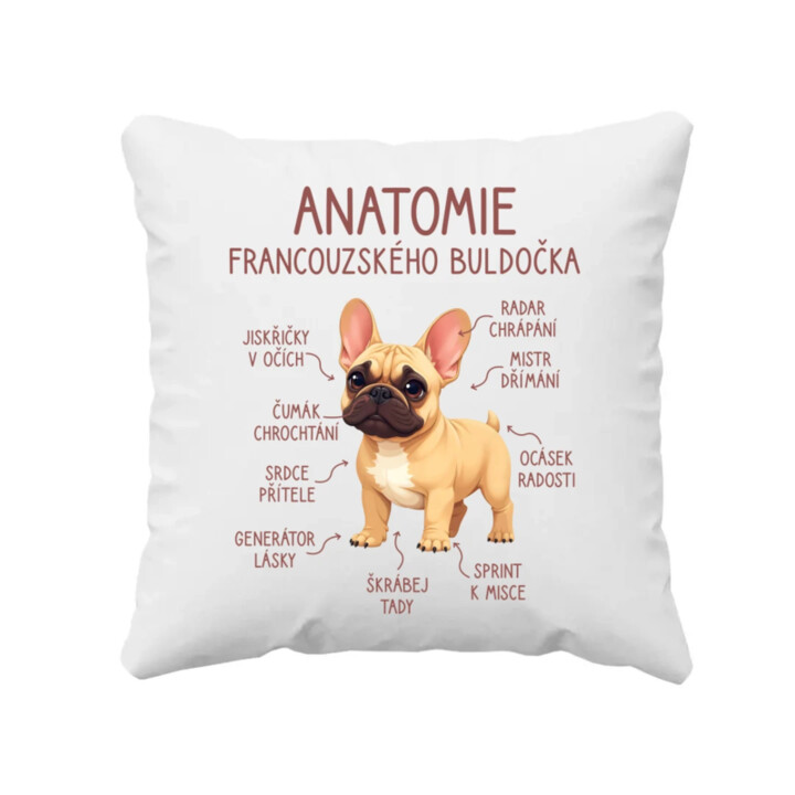 Anatomie francouzského buldočka - béžový - polštář s potiskem