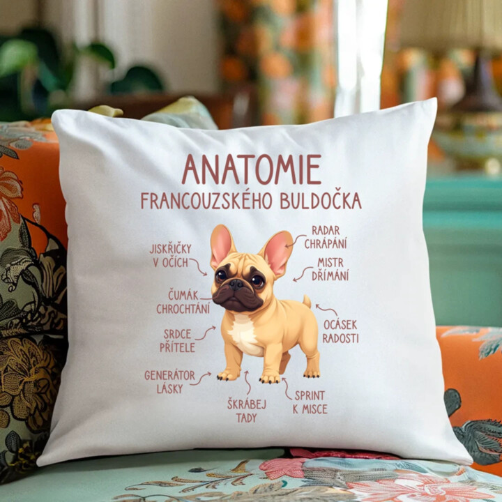 Anatomie francouzského buldočka - béžový - polštář s potiskem