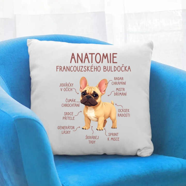 Anatomie francouzského buldočka - béžový - polštář s potiskem