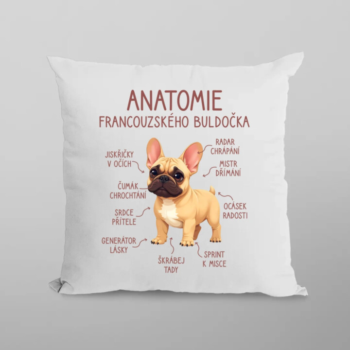 Anatomie francouzského buldočka - béžový - polštář s potiskem