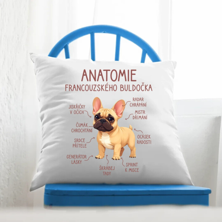 Anatomie francouzského buldočka - béžový - polštář s potiskem