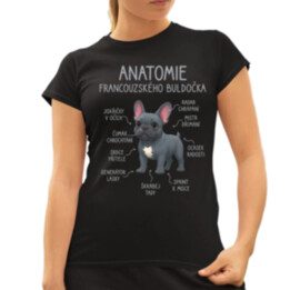 Anatomie francouzského buldočka - modrý  - dámské tričko s potiskem