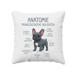 Anatomie francouzského buldočka - modrý - polštář s potiskem