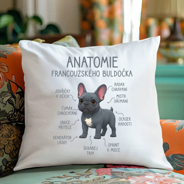 Anatomie francouzského buldočka - modrý - polštář s potiskem