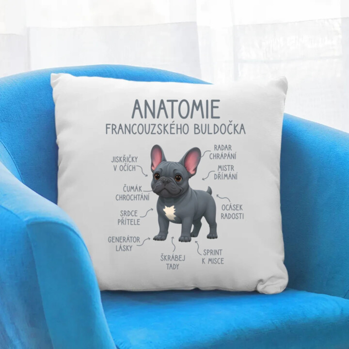 Anatomie francouzského buldočka - modrý - polštář s potiskem