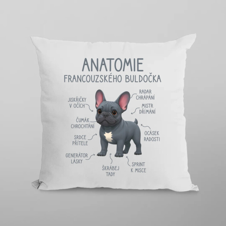 Anatomie francouzského buldočka - modrý - polštář s potiskem
