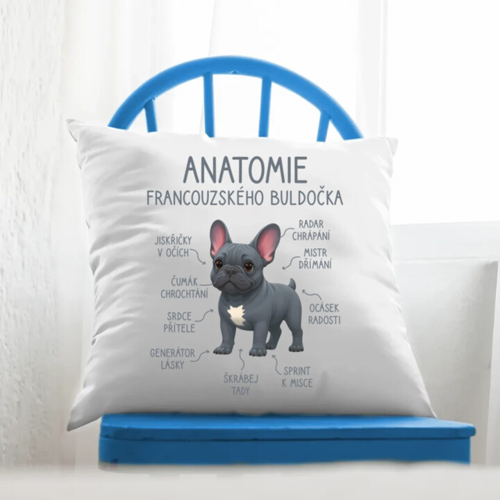 Anatomie francouzského buldočka - modrý - polštář s potiskem