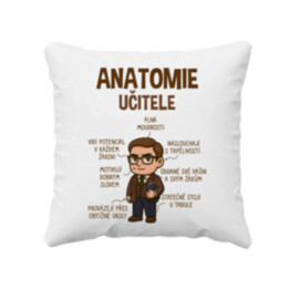 Anatomie učitele - polštář s potiskem