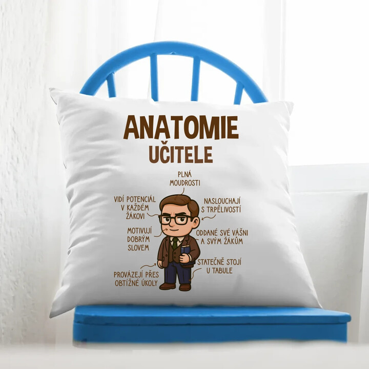 Anatomie učitele - polštář s potiskem