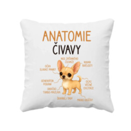 Anatomie čivavy - polštář s potiskem