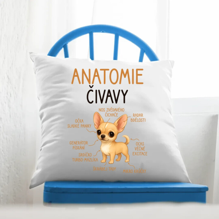 Anatomie čivavy - polštář s potiskem