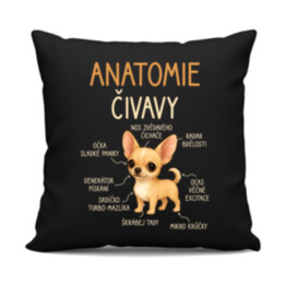 Anatomie čivavy - černý polštář s potiskem