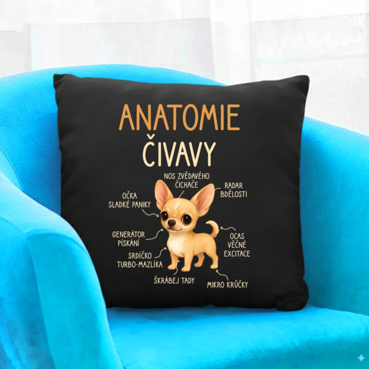 Anatomie čivavy - černý polštář s potiskem