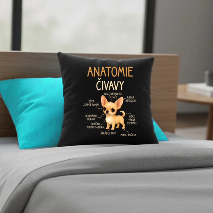 Anatomie čivavy - černý polštář s potiskem