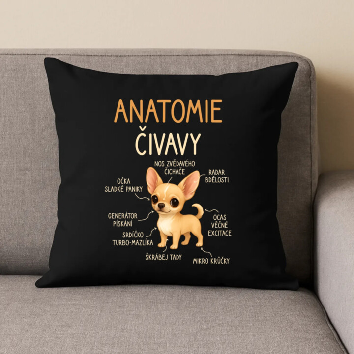 Anatomie čivavy - černý polštář s potiskem