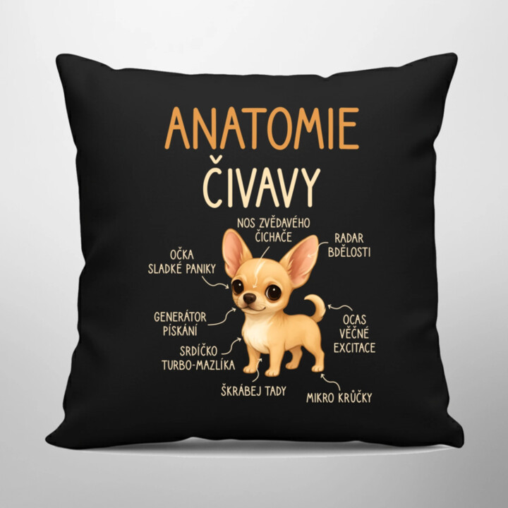 Anatomie čivavy - černý polštář s potiskem