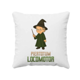Piertotum Locomotor - Minerwa McGonagall - polštář s potiskem pro fanoušky série Harry Potter