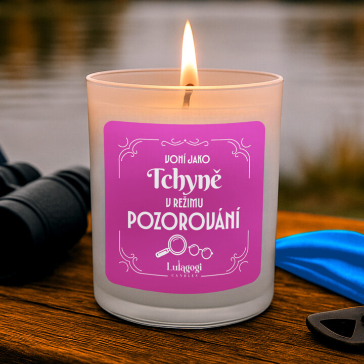 Voní jako tchyně v režimu pozorování - vonná svíce s potiskem pro tchýni