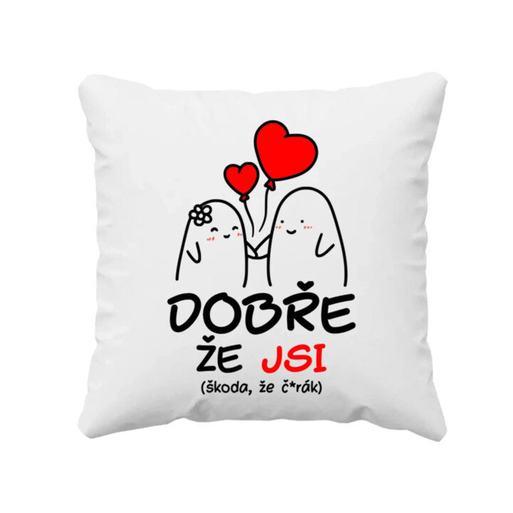 Dobře, že jsi - škoda, že č*rák - polštář s potiskem