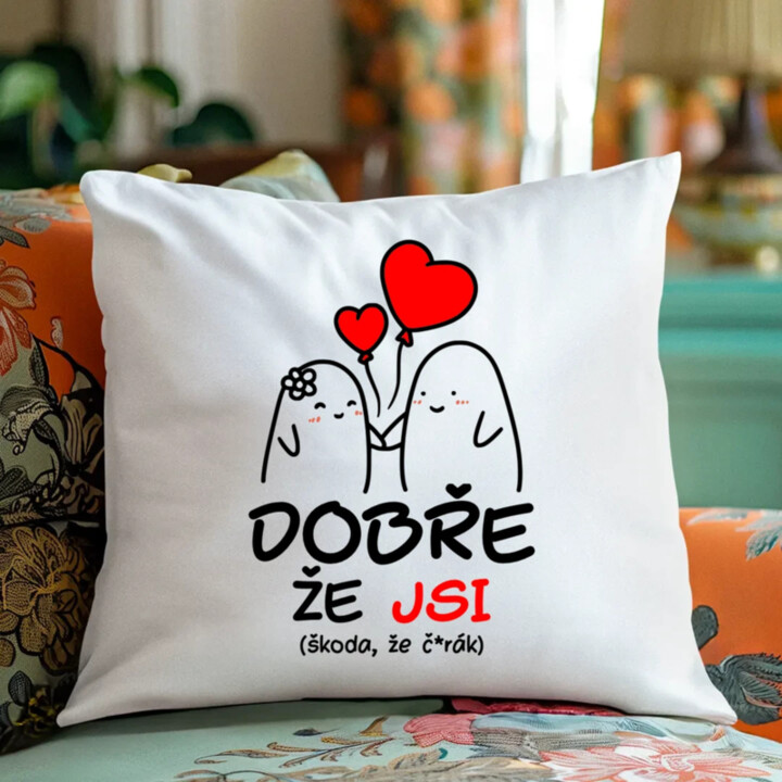 Dobře, že jsi - škoda, že č*rák - polštář s potiskem
